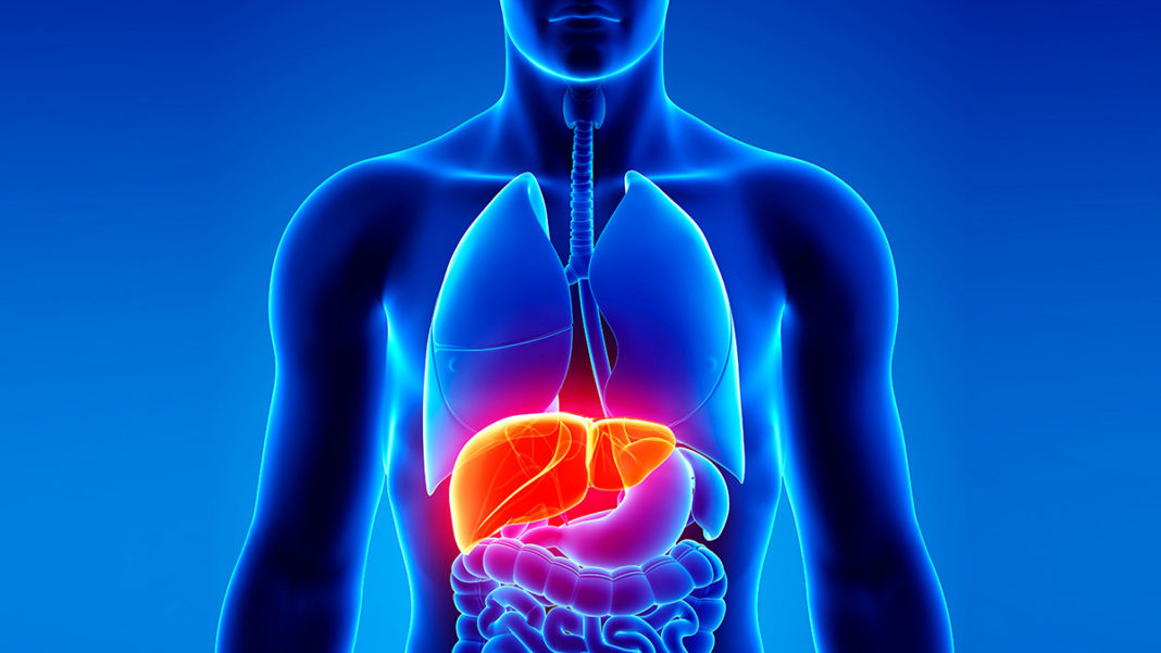 Common Causes Liver Diseases